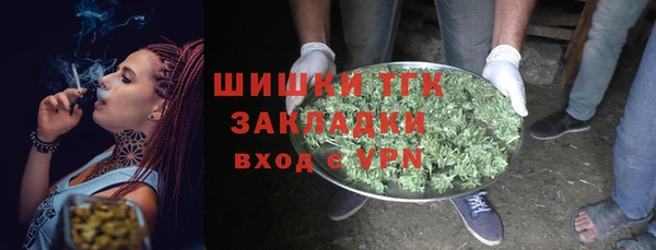 ГАЛЛЮЦИНОГЕННЫЕ ГРИБЫ Баксан