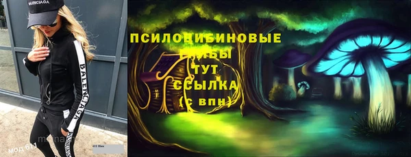 ГАЛЛЮЦИНОГЕННЫЕ ГРИБЫ Баксан